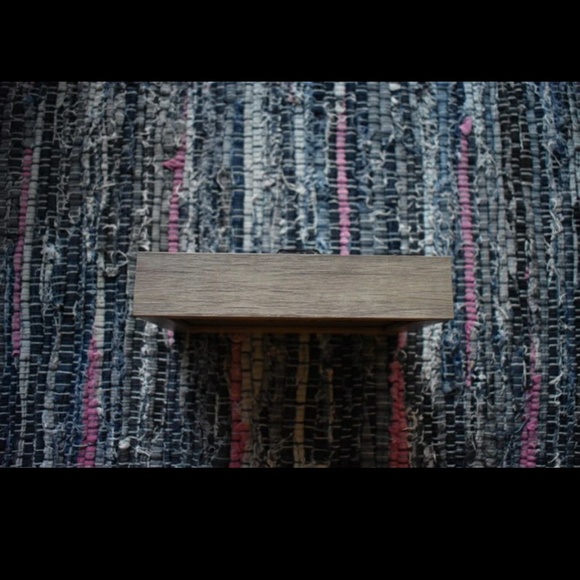 Sand dollar shadow box display - Picture 4 of 5